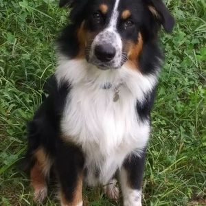 Meet your Posher, Carol